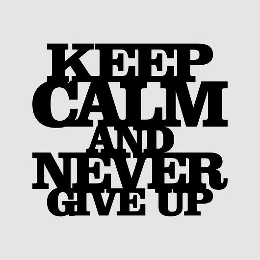 Napis  na Ścianę 3D KEEP CALM AND NEVER GIVE UP LOVINA PRINTS