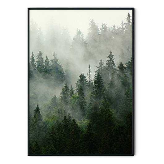 PROMOCJA - Plakat Misty Forest 50X70 myscandi