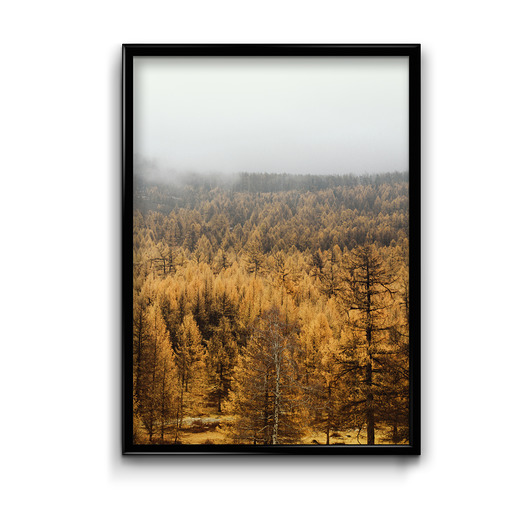 Plakat Jesień #3  Bury Lis