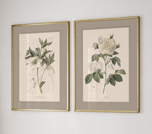 plakaty Autorskie Ilustracje botaniczne 50x70 cm