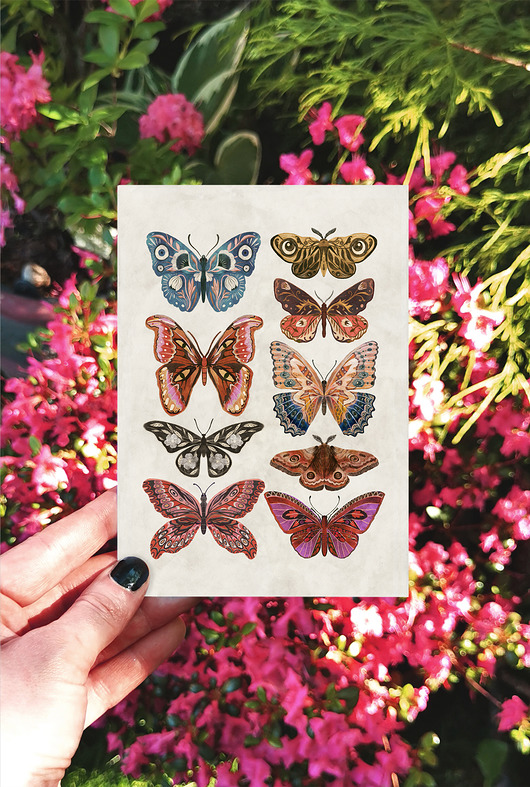 kartki okolicznościowe - wydruki Kartka motyle, kartka okolicznościowa, pocztówka kwiaty, karta botaniczna