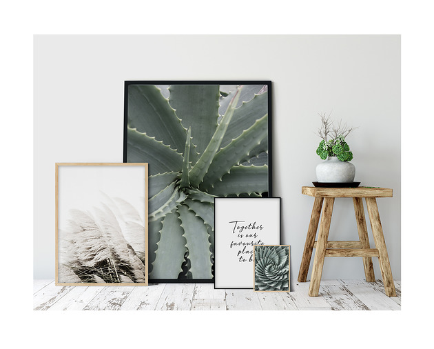 Zestaw plakatów - Aloes Bury Lis