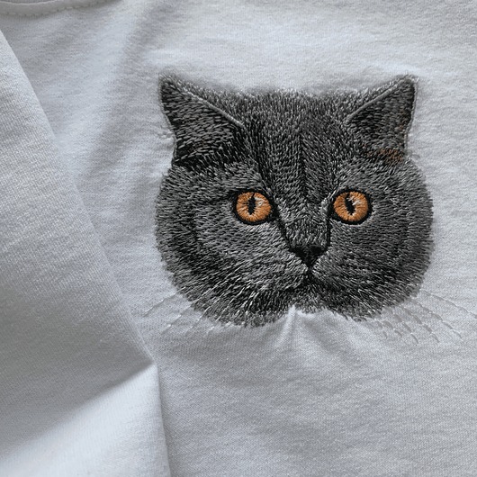 t-shirt damskie Damska koszulka z kotem brytyjskim