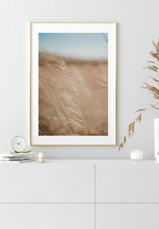 PLAKAT trawa pampasowa beżowy natura black dot studio