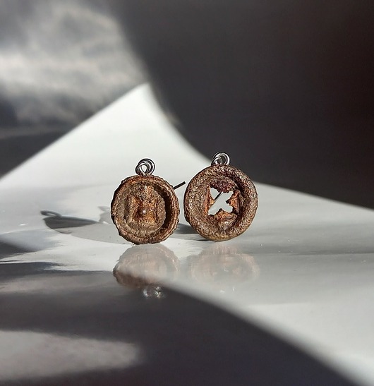 kolczyki drewniane Kolczyki eukaliptuski mniejsze