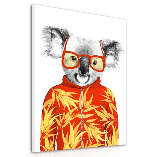 obrazy Obraz na płótnie Koala w okularach 60x80
