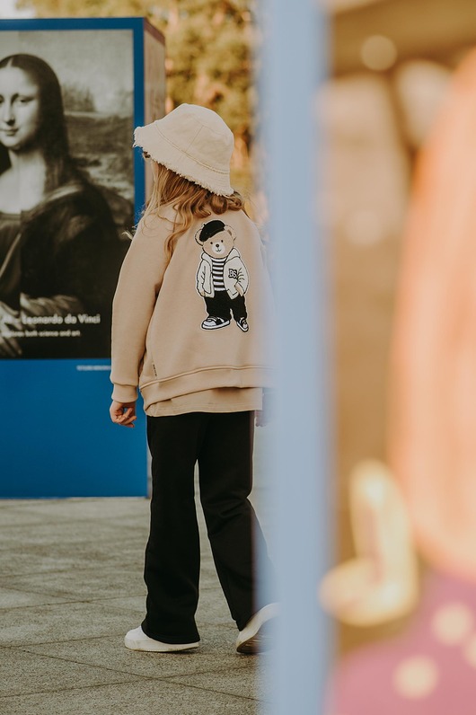 bluzy dla chłopców Bluza rozpinana bomberka Louis Teddy