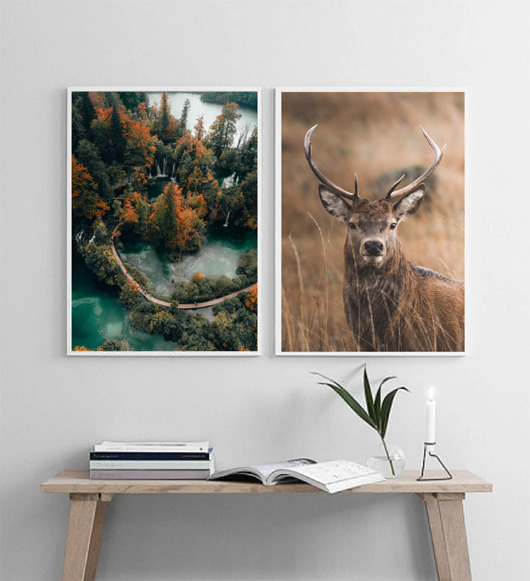 fotografia DWA PLAKATY natura jesień