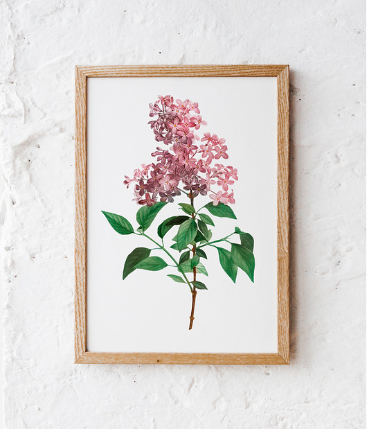 Plakat Lila vintage HOG STUDIO