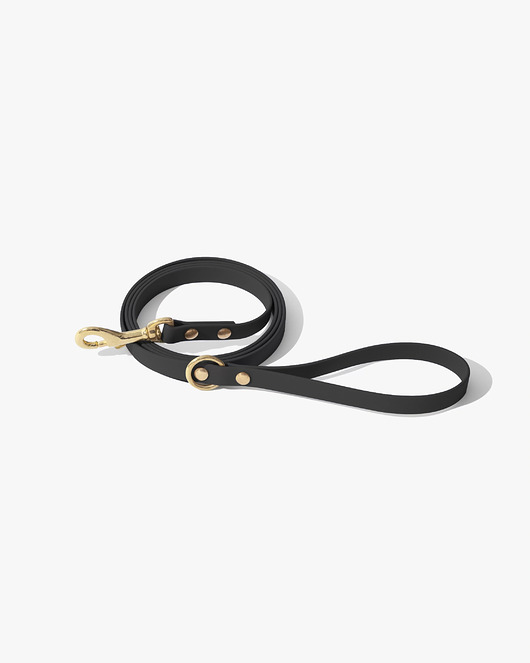smycze i obroże dla psów i kotów Smycz miejska premium mosiądz - classic black