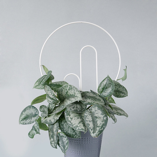 doniczki Podpora dla roślin busz.koło biała