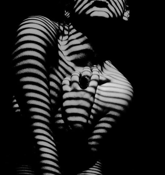 fotografia Zebracadabra płótno