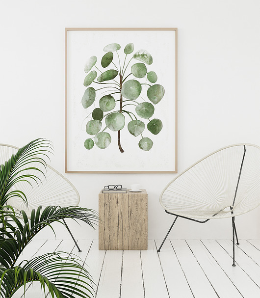 Plakat Pilea  50x70 cm Anita Tomala