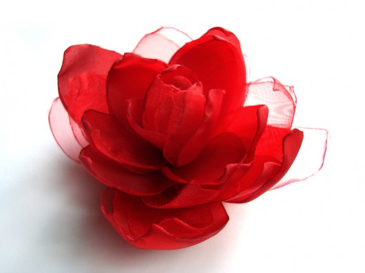 INTENSYWNA CZERWIEŃ__ZAMÓWIENIE SundayRose