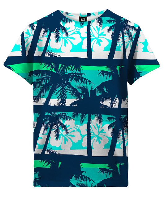 t-shirty dla chłopców T-shirt Boy DR.CROW Blue Beach