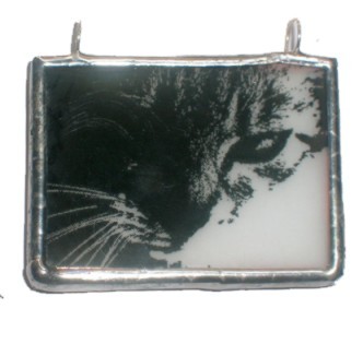 miau 3 XXXlunaart