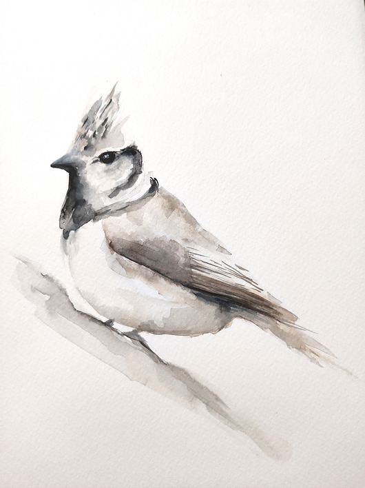 Akwarela Czubatka Wiktoria Borys Art
