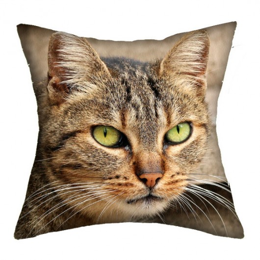 Promocja! 2w1 rzymskie koty 4 - poducha 36 cm AT design