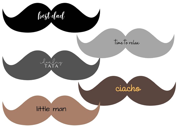 poduszki z napisami Poduszka  wąsy  Haft  Kolory  Tkaniny