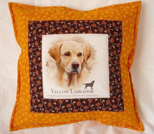 Seria PUPIL: Yellow Labrador Gazynia