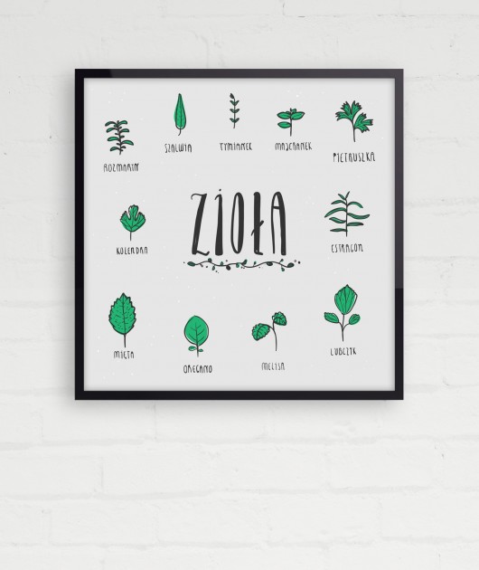 Zioła (50x50) olhik