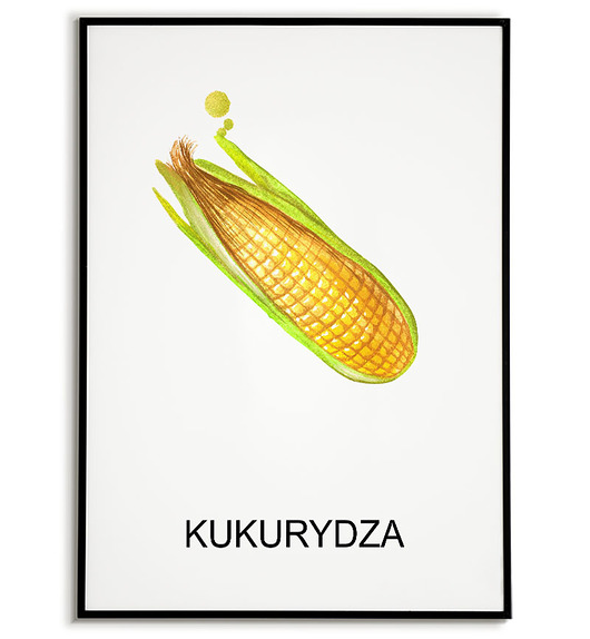 plakaty Plakat  GRAFIKA KUKURYDZA warzywa ZIOŁA