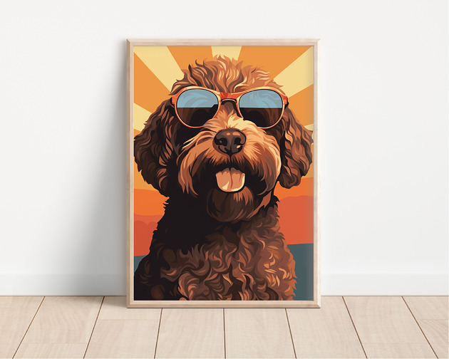 plakaty Plakat lagotto romagnolo