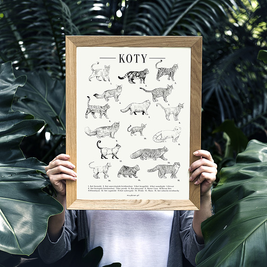 Plakat KOTY muybien
