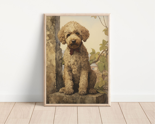 plakaty Plakat lagotto romagnolo