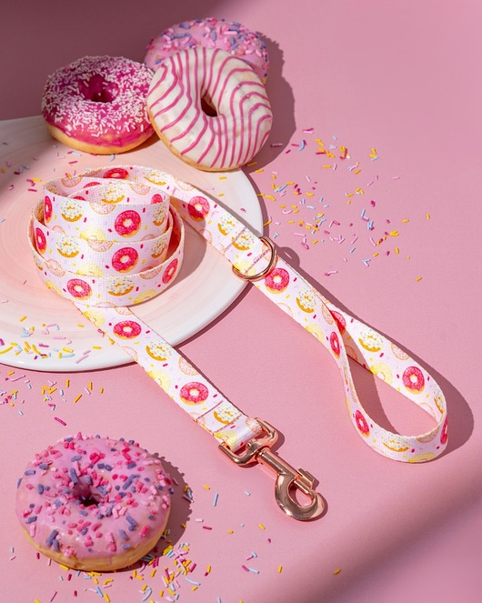 smycze i obroże dla psów i kotów Smycz miejska z rączką dla psa ECRU DONUT 500cm 5m szerokość taśmy 2,5cm