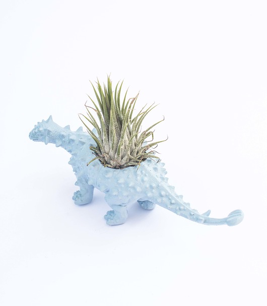Baby Blue Plantosaur Plantarium