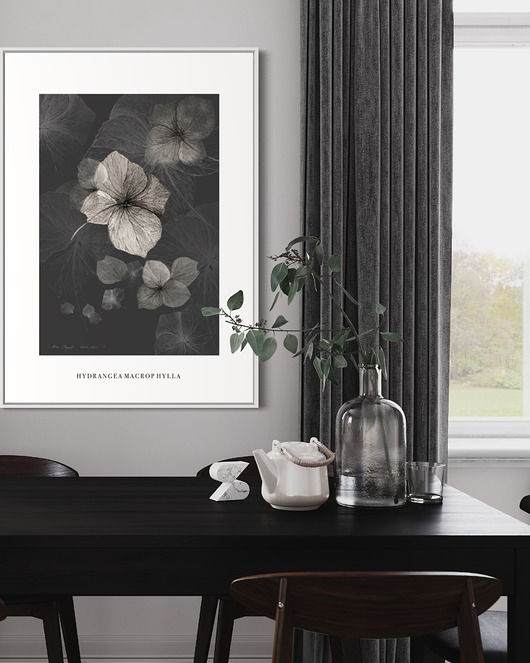grafiki i ilustracje Hortensja, print { 50x70 cm }