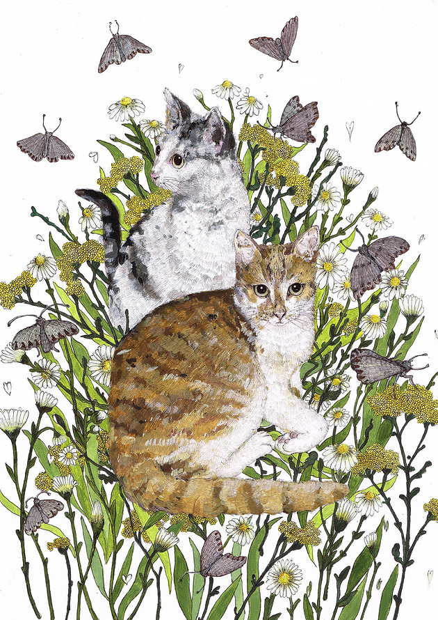 grafiki i ilustracje Kotki dwa- plakat- ilustracja- koty- plakat