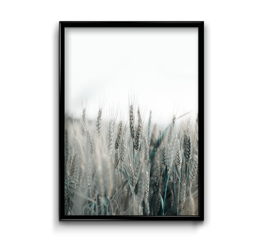 Plakat Letnie Pole  Bury Lis