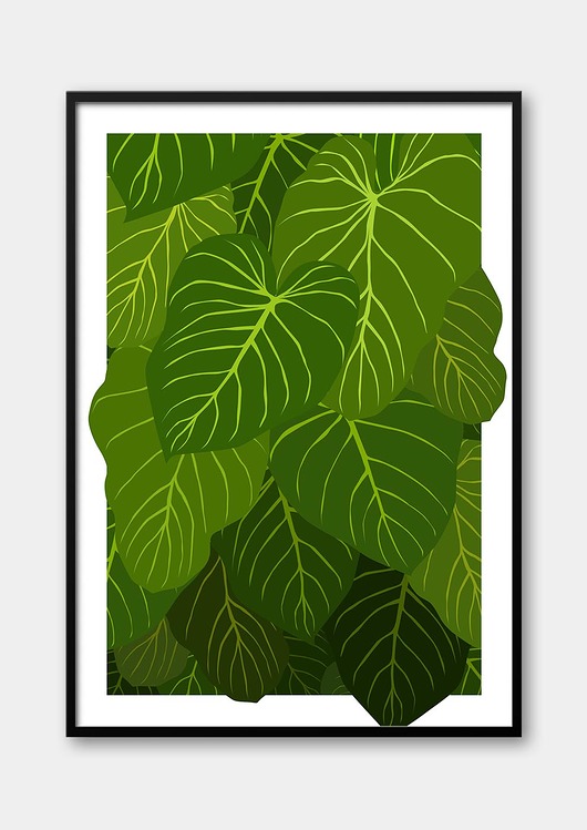 plakaty Plakat Roślina - FILODENDRON