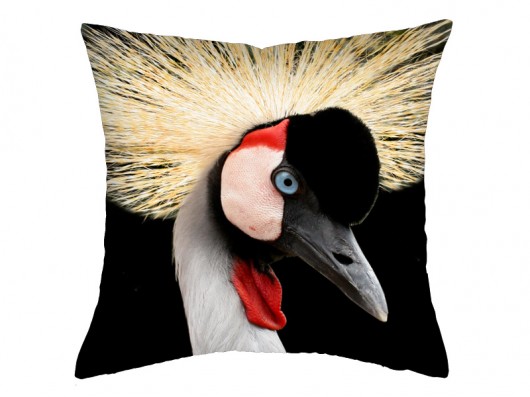 poducha egzotyczny ptak 36 cm AT design