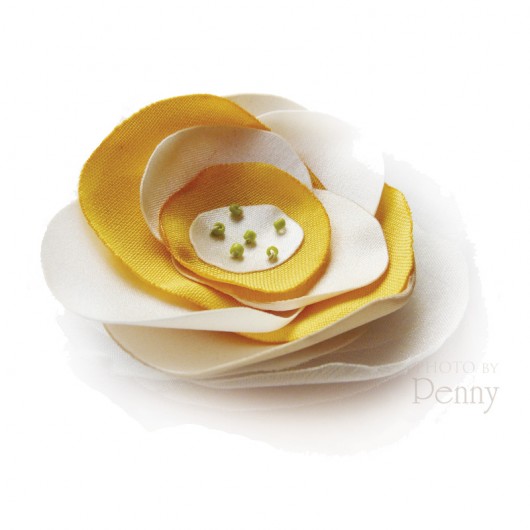 [Sunny] pepaart