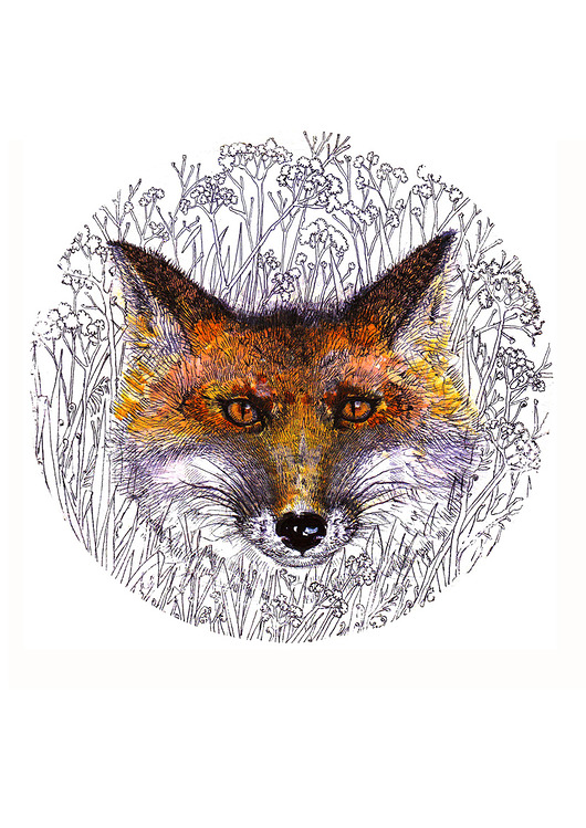 grafiki i ilustracje Rudy lisek- grafika- ilustracja