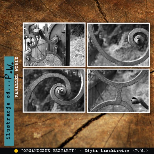 Organiczne Kształty... 4 fotografie Parallel World