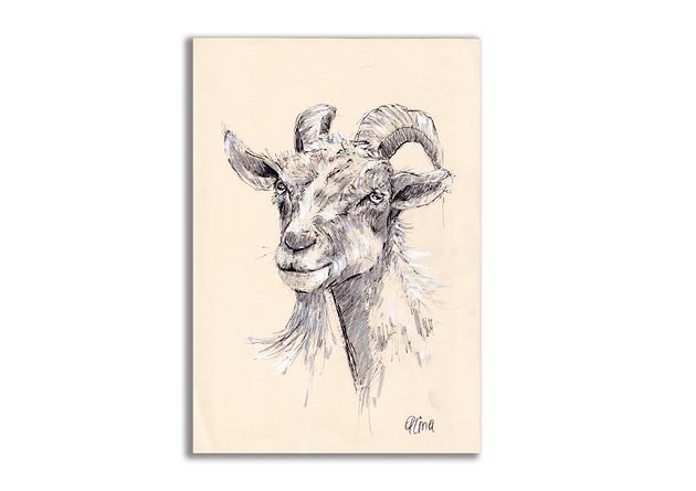 grafiki i ilustracje Grafika ręcznie malowana "Koza" kozioł