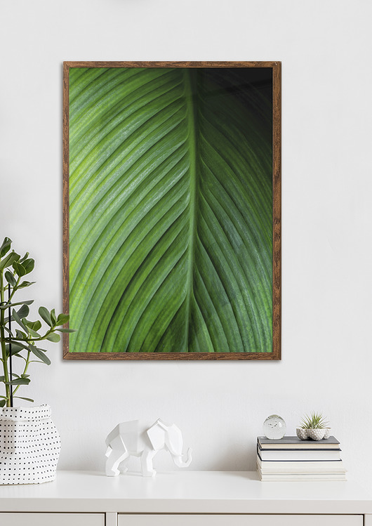 plakaty Plakat - Wypleciona naturą zieleń