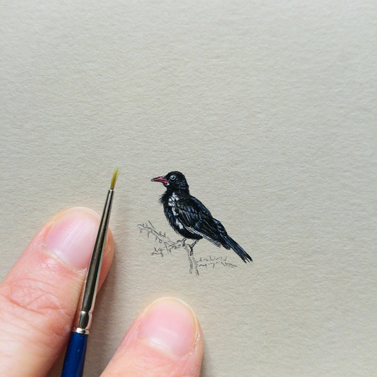 obrazy Bawolik czerwonodzioby, Mała Piątka Afryki