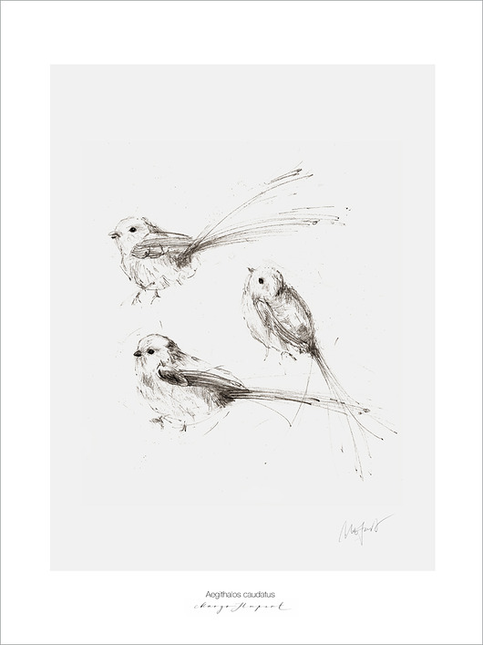 Plakat Raniuszki print30x40 cm Margo Hupert