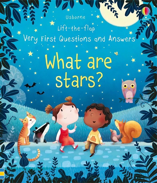 książeczki dla dzieci What are stars ?