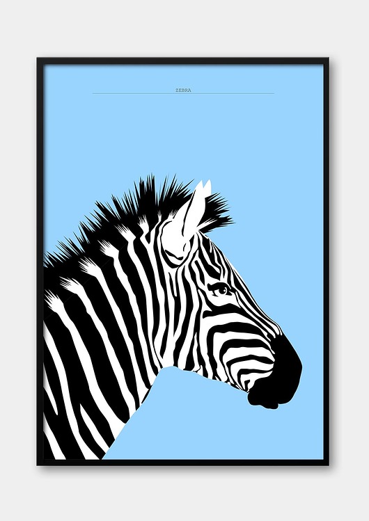 obrazy i plakaty do pokoju dziecięcego Plakat Zebra