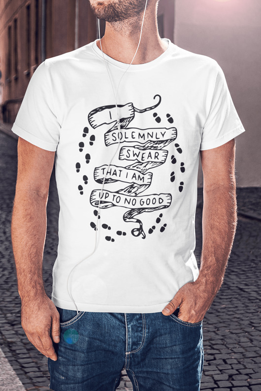 t-shirty męskie Koszulka Harry Potter napis