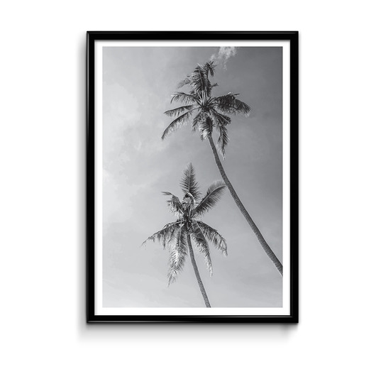 Palmy plakat 50x70 Bury Lis