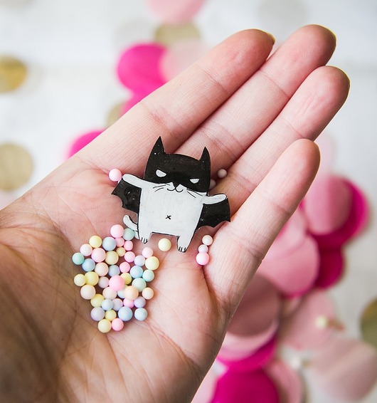 broszki Broszka Kotobatman