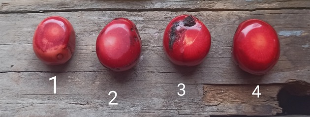 pierścionki - różne Zamówienie  - koral - pierścionek