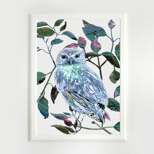Plakat Owl  A3 Anita Tomala